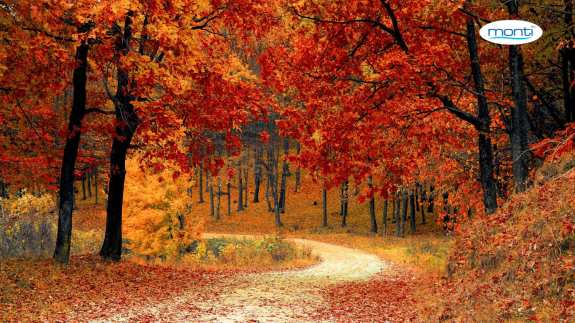 Hogyan készülj fel testileg és lelkileg az őszre?